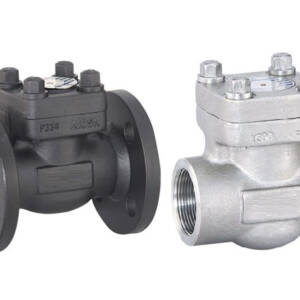 Forged Steel Check Valves