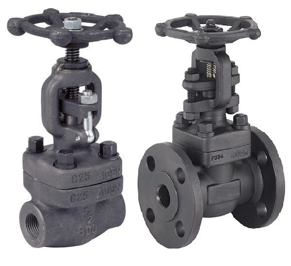 Forged Steel Gate Valves
