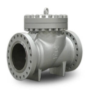 Steel Check Valves