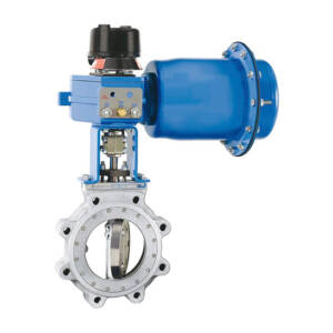 High Performance Butterfly Valves
