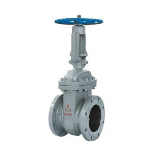Steel Globe Valves